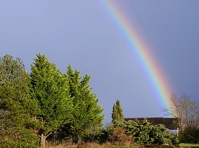 rainbow, nature, colors, sky, rainbow color palette