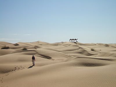 Sahara, pustinja, pijesak, dine, karavan, jednogrba deva, širok
