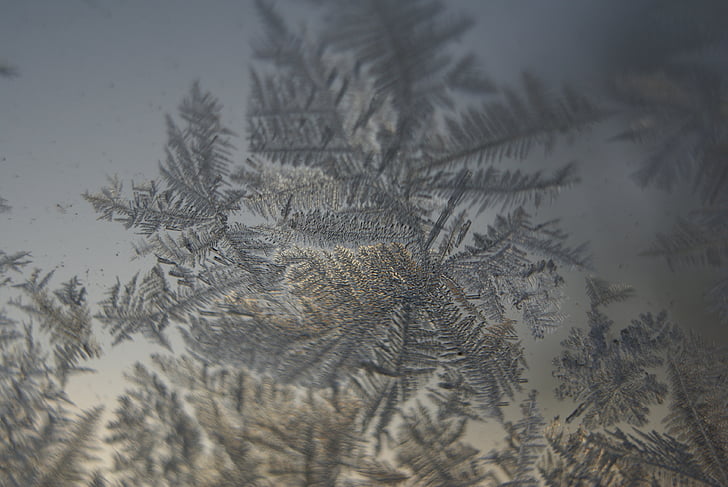 cristales de hielo, hielo, invierno, congelados, Frosty, ventana