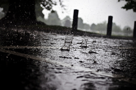 déšť, dešťové kapky, roční období, voda, makro, prvek, mrak