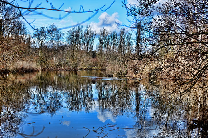basel, green 80 park, reflections, water, lake, blue, sky