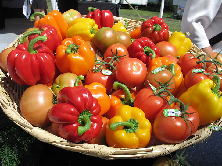 tomāti, pipari, dārzeņi, siltumnīcefekta, uzturs, pārtika, veselīgi