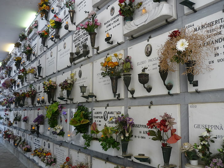 urne grave, blomster, kirkegård, Firenze, grav, blomst