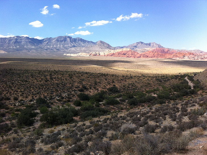 raudona uolos, kanjonas, Nevada, vaizdingas, Vegas, dykuma, pietvakarių