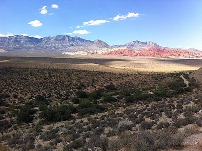 červené skály, kaňon, Nevada, malebný, Vegas, poušť, jihozápad