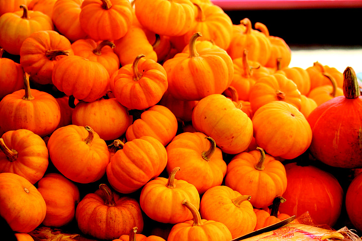 carbasses, vegetals, taronja, acció de gràcies, Halloween, octubre, novembre