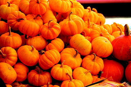 calabaza, vegetales, naranja, acción de gracias, Halloween, Octubre, noviembre