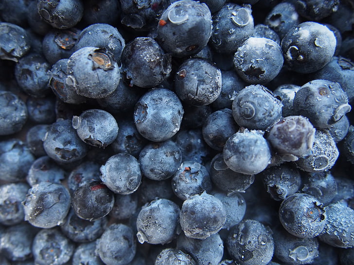 shallow, focus, photography, bunch, blueberries, fruits, food
