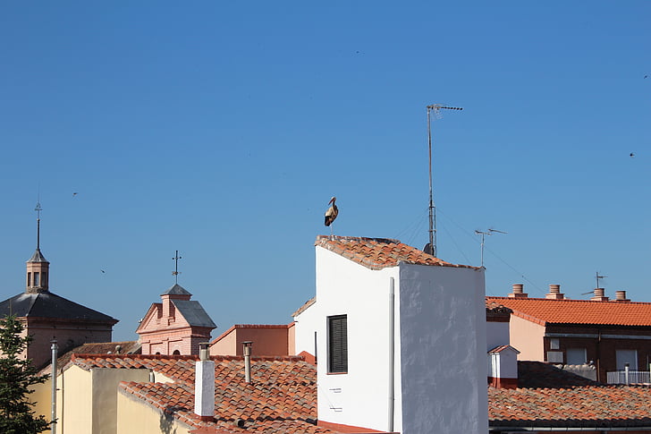 telhados, Alcalá, cegonha, natureza, Alcalá de henares, Espanha, arquitetura