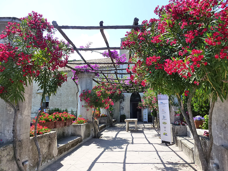 Ravello, Όμορφο, Κήποι, λουλούδι, Οδός, αρχιτεκτονική, σε εξωτερικούς χώρους