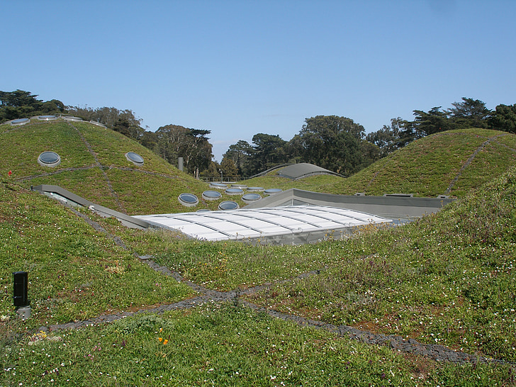 california academy of sciences, green roof, architecture, leed platinum