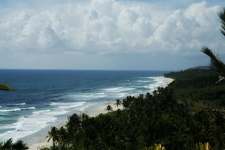 Mar, natura, Bahia, platja, l'aigua, vacances