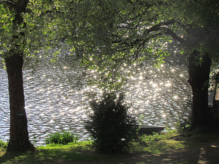 water, sparkle, tree, lake