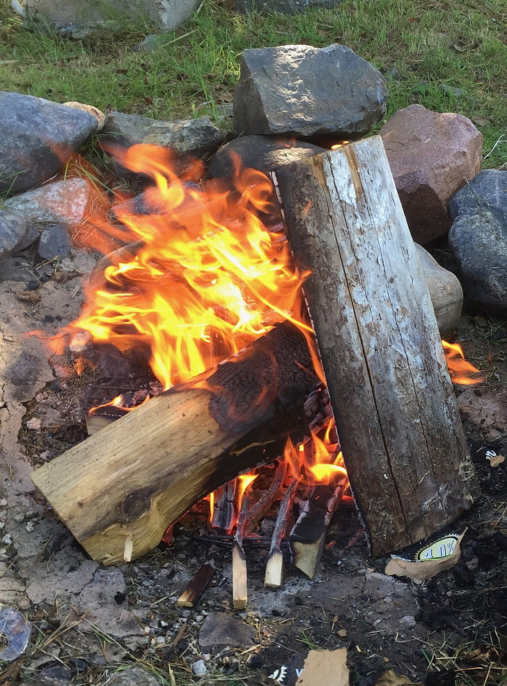 fire, wood, summer, bonfire