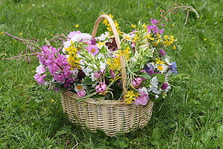 букет, цветя, кошница, подарък, лято, радост