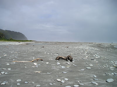 Новая Зеландия, пляж, песчаный пляж, Одиночество