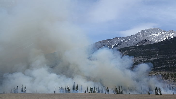 forest fire, wildfire, smoke, burn, mountain