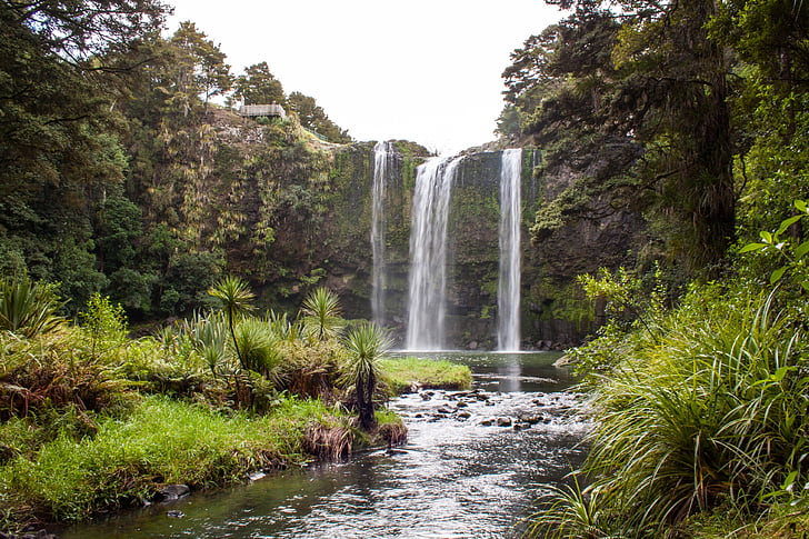 Nuova Zelanda, cascata, Whangarei