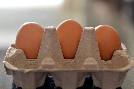 ovos no recipiente, comida, saudável, marrom