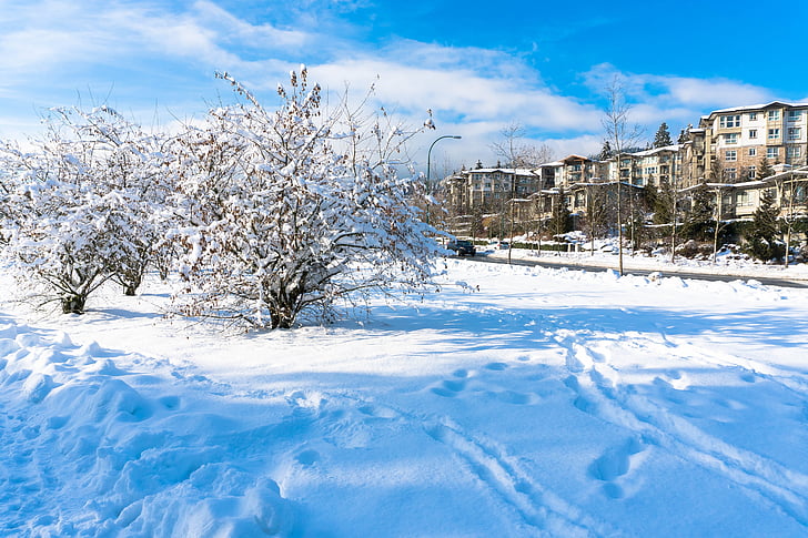 Coquitlam, stadspark center, stadscentrum, BC, Brits-columbia, Canada, sneeuw