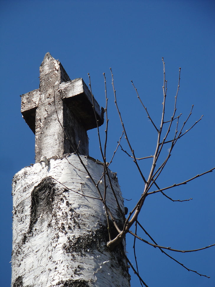 cross, birch, christianity