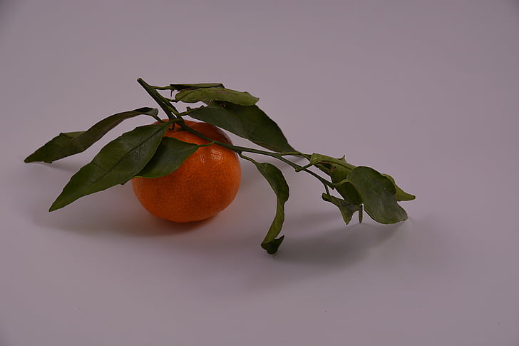 mandarīns, augļi, sarkana, aromāts, Citrus, augļu koki, daba