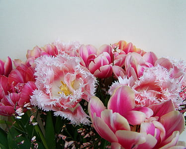 tulipán csokor, rózsaszín és fehér virágokkal, vágott virág