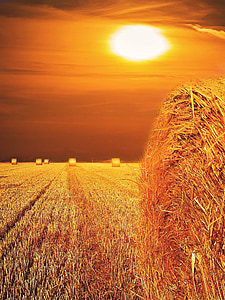 straw, field, straw bales, straw box, landscape, sunset, lighting