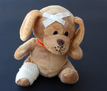Teddy, pes, vycpané zvíře, nemocný, zraněný, zlomený, noha