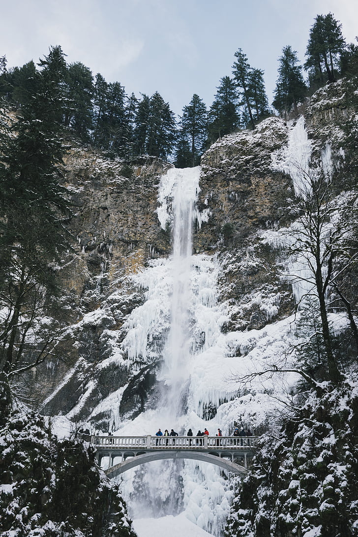 waterfalls, front, white, bridge, snow, waterfall, winter