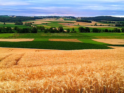 Burgenland, velden, natuur, landbouw