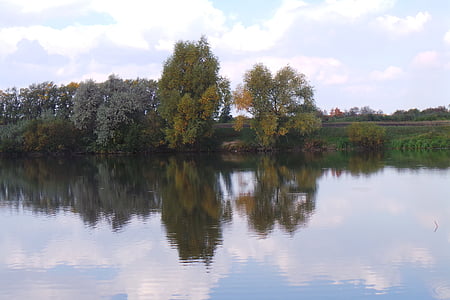 Příroda, rybník, jezero, reflexe, stromy, pokoj, den