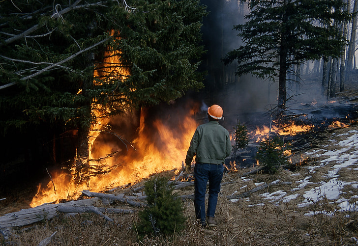 mežu ugunsgrēku, uguns, liesmas, karstā, dedzināšana, siltuma, bīstams