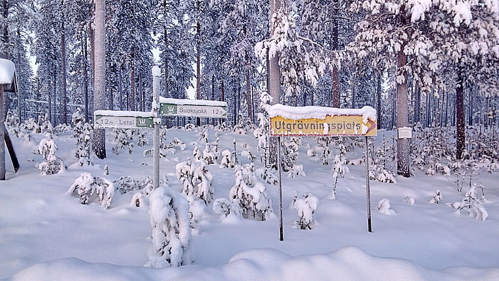 directory, snowy, wintry, shield, lapland, sweden