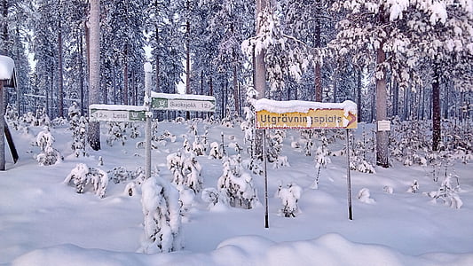 könyvtár, havas, téli, pajzs, Lappföld, Svédország