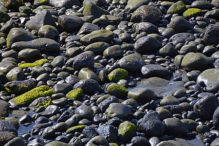 πέτρες, βρύο, νερό, υγρό, φύση, στη θάλασσα, μαύρο πράσινο