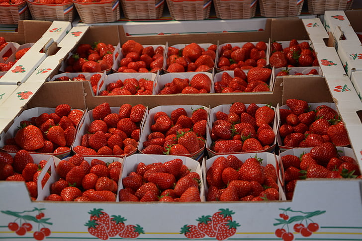 jordgubbar, brickor, röd, frukt, röda frukter, naturen, trädgård