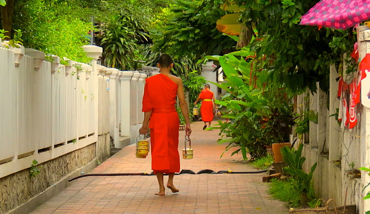 Laos, Luangprabang, monje, Bud, budismo