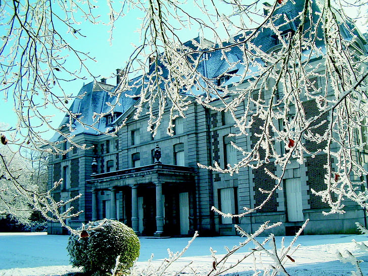 winter, Kasteel, sneeuw, boom, het platform, buitenkant van het gebouw, buitenshuis
