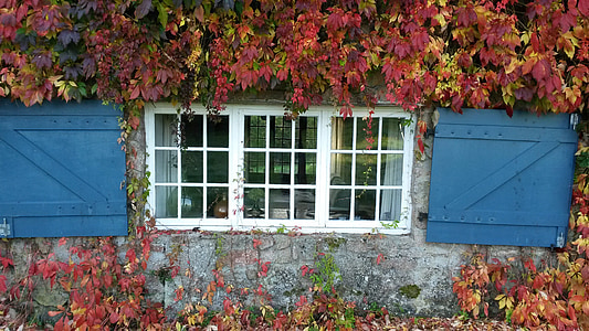 窗口, 蓝色, 休息, 老, 建筑, 木材-材料, 房子