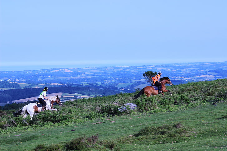 Cưỡi ngựa, Devon, Dartmoor