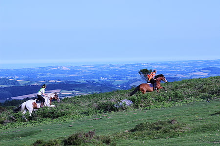 jízda na koni, Devon, Dartmoor