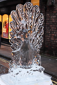 christmas, cold, crystal, frost, frozen, ice, peacock