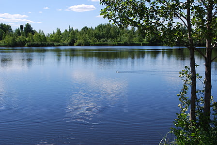 nature, étang, eau, Lac, arbre, bleu, été