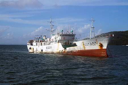 boot, Chinese boot, zee, schip, navigatie, maritieme, handel