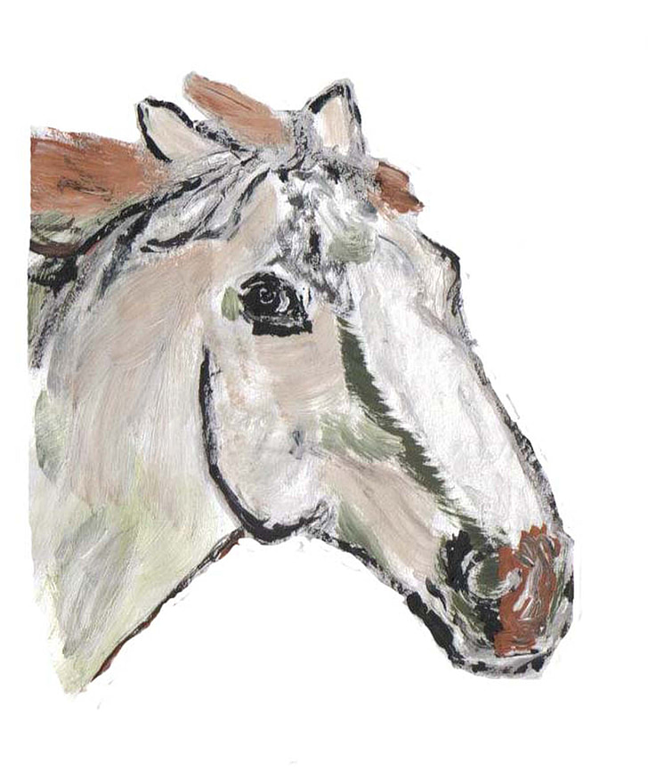 joonistus, maali, lusitanohengst, hobune