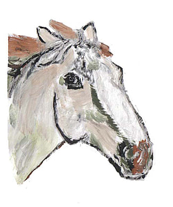 dessin, peinture, lusitanohengst, cheval