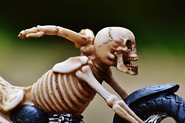 dviratininkas, skeletas, šliaužiantis, keista, apdaila, baisu, kaulų
