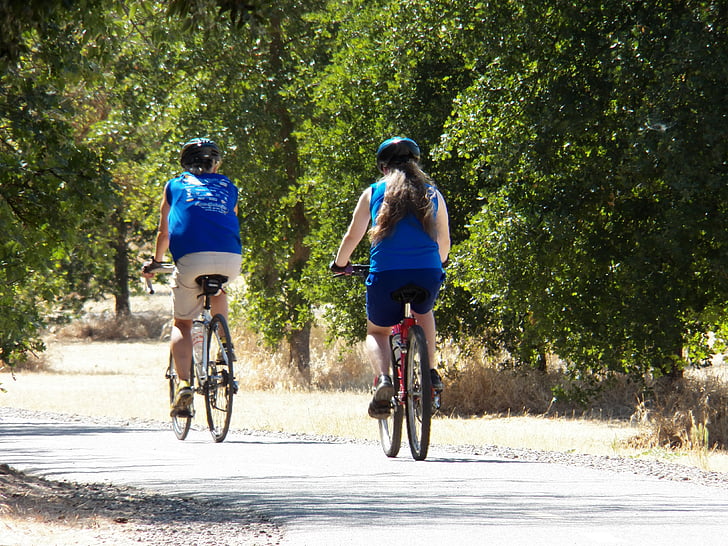 cykling, cykler, sti, pathway, rejse, udendørs, træ