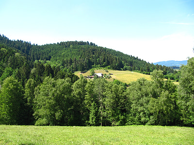Schwarzwald, grøn, Hill, landskab, idylliske